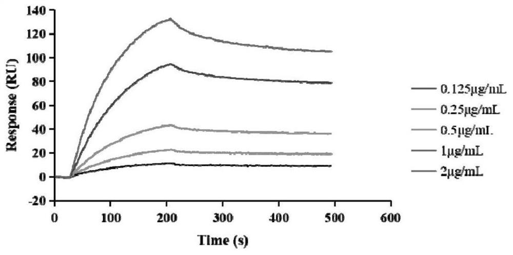 Application of luteolin in preparation of medicine for inhibiting functional activity of pyogenic streptococcus hemolysin