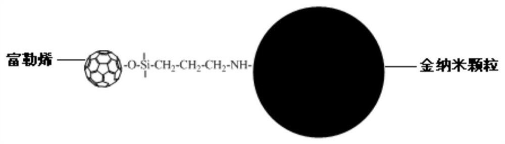 Composite nanoparticle and its preparation method and application