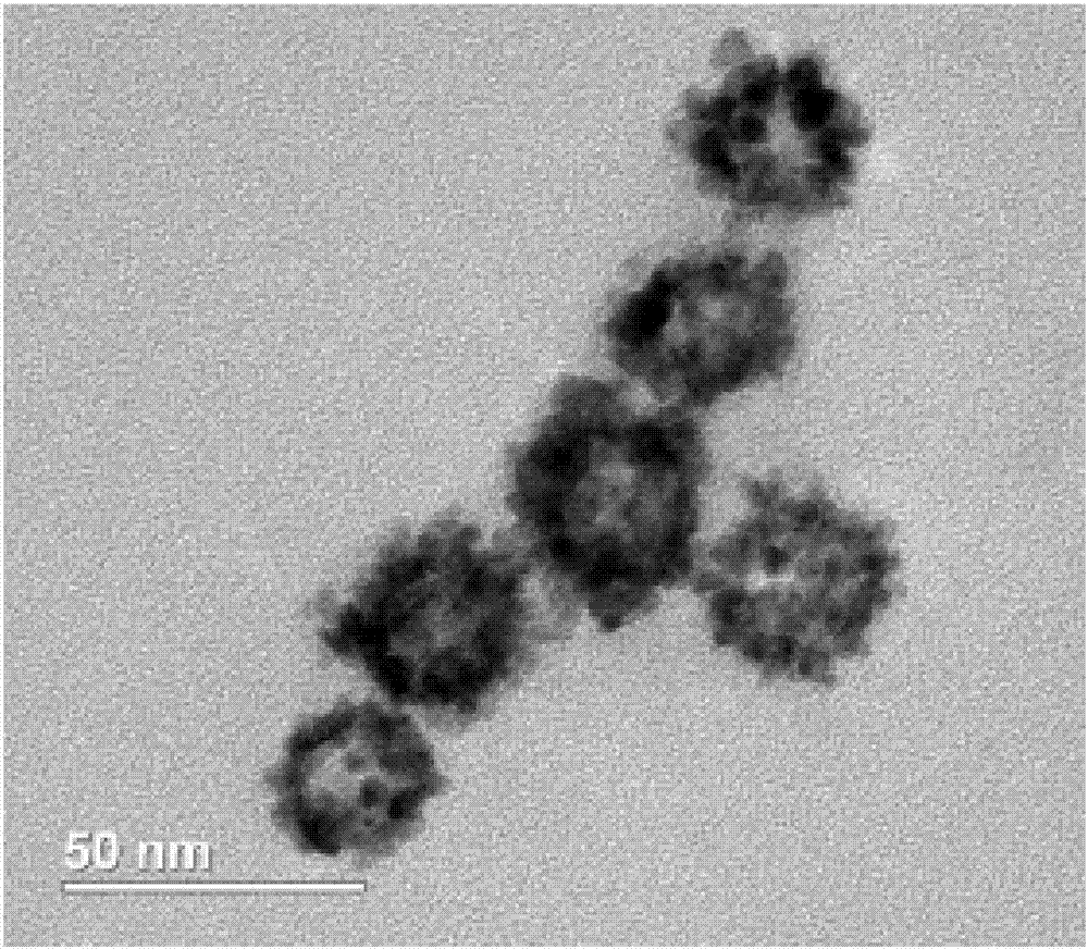 A catalyst having a core-shell structure, a preparing method and uses of the catalyst