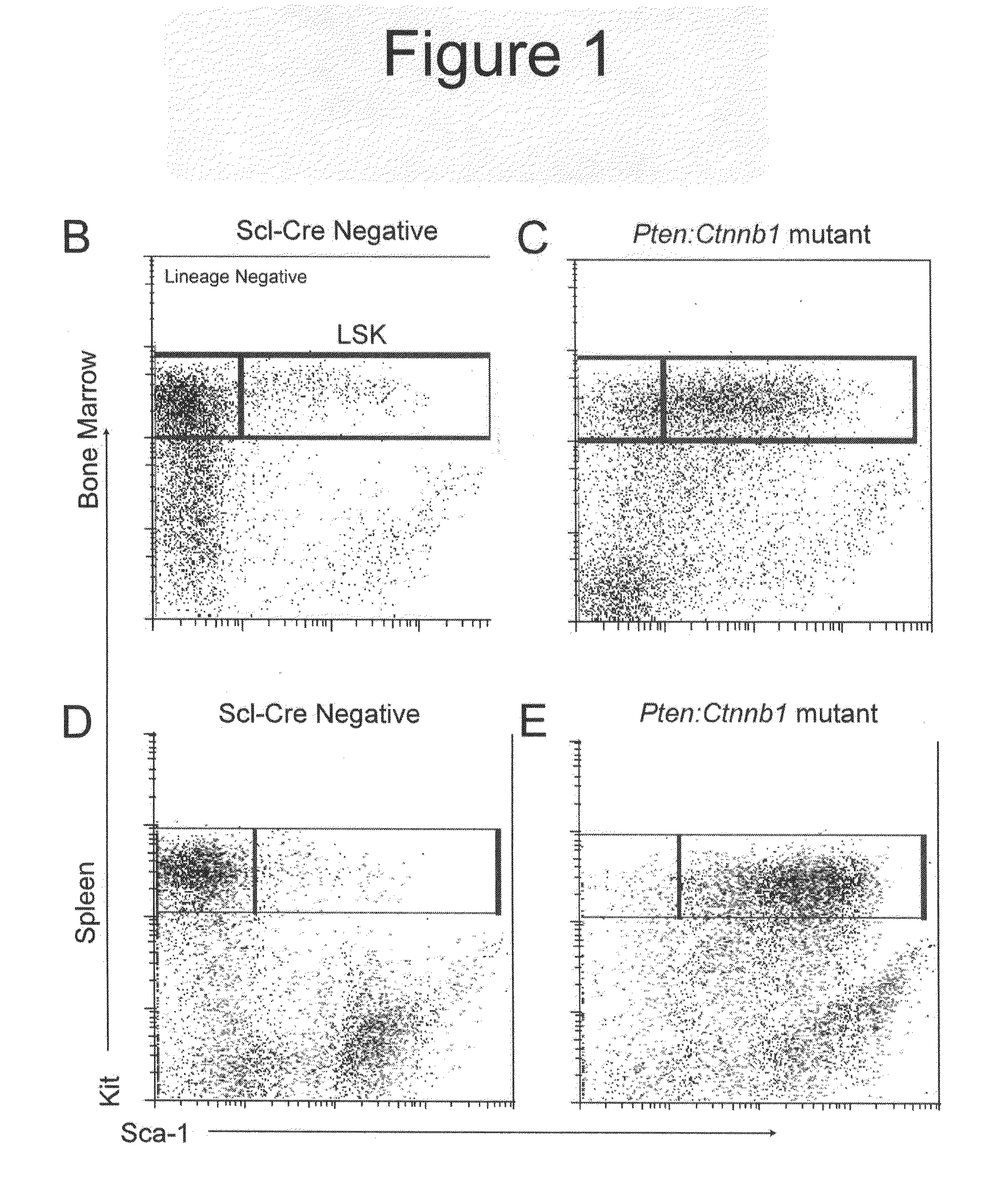 Methods, kits, and compositions for stem cell self-renewal