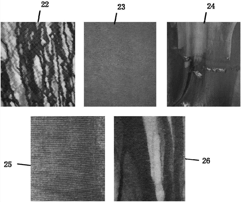 Application of bio-membrane reactor in sewage treatment, carbon sequestration microalgae harvesting