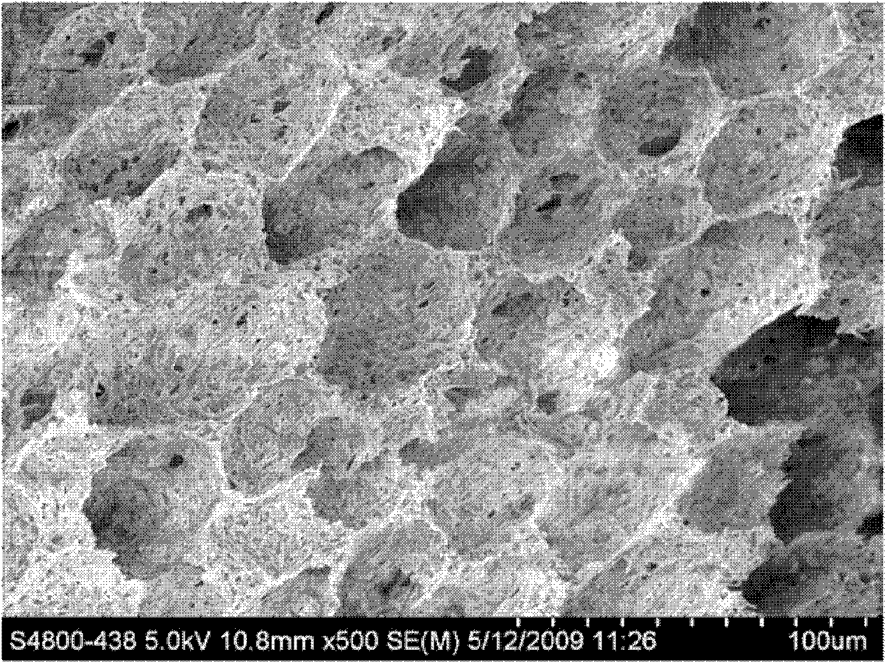 Nano-fiber tubular scaffold with multi-stage porous structure