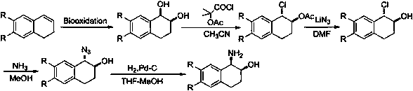 Method for efficiently synthesizing (1R,2S)-1,2-dialin derivative