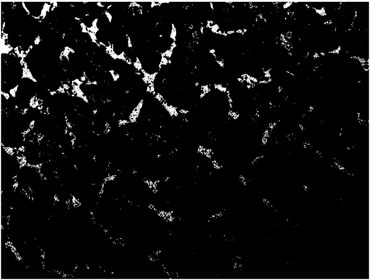 Carbon fiber reinforced alloy composite and preparation method thereof