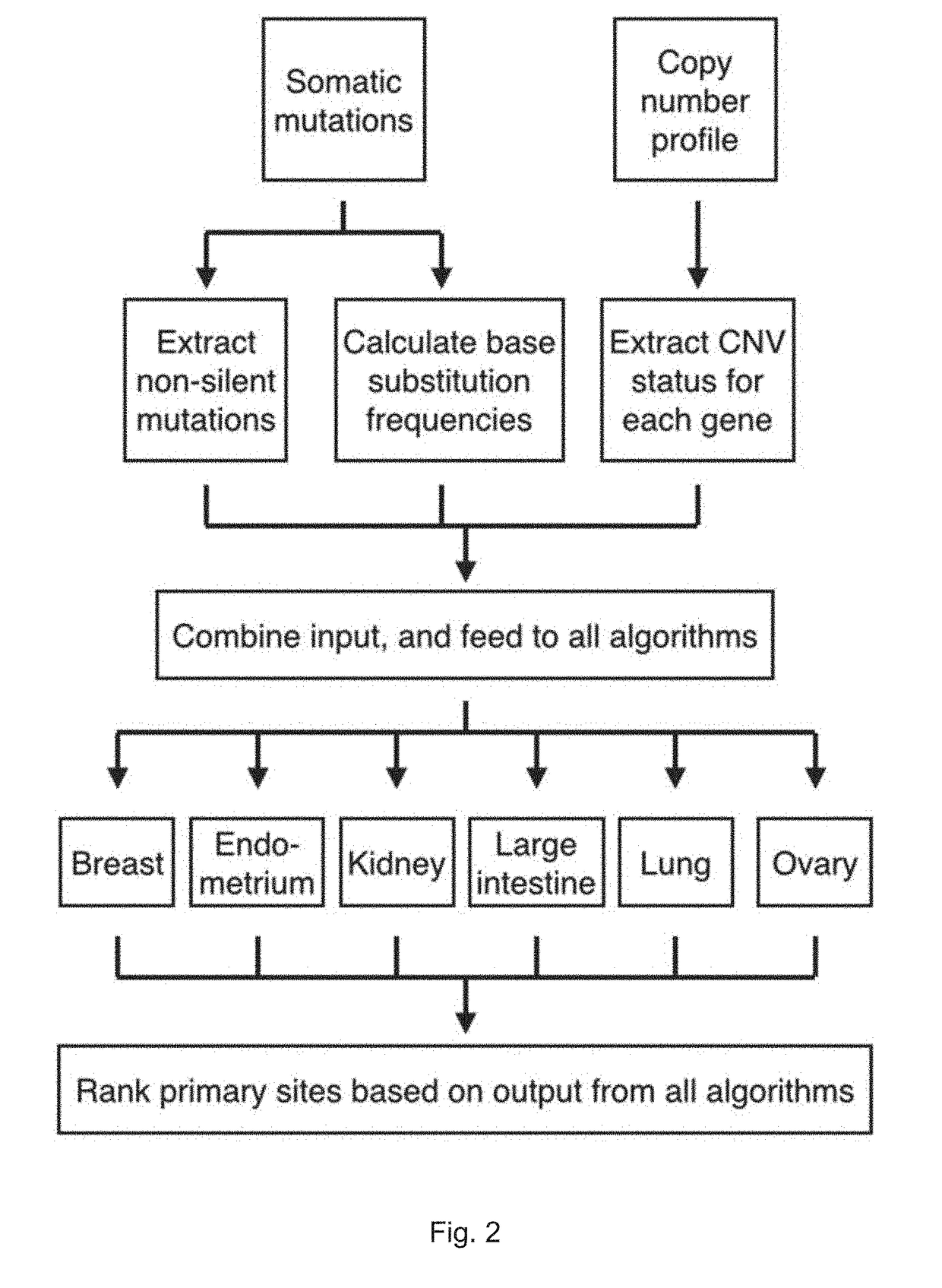 Method for identification of tissue or organ localization of a tumour