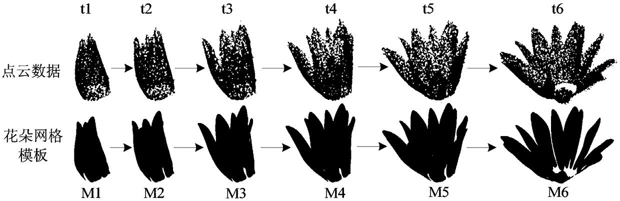 Method and device for reconstruction of flower opening process