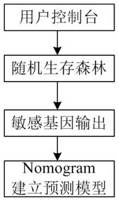 Prognostic prediction system