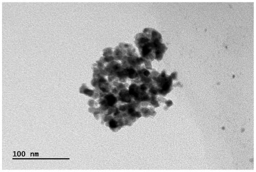 Freeze drying preparation method for nano-rare earth oxide powder