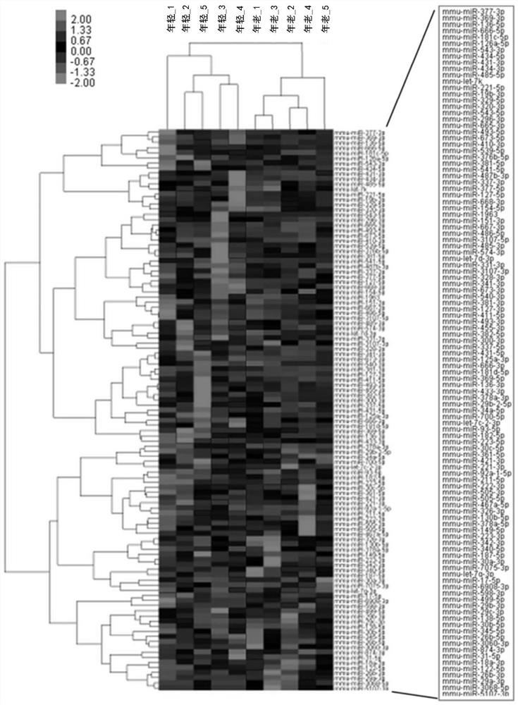 Pharmaceutical composition for preventing or treating muscular disease or cachexia comprising, as active ingredient, mirna located in dlk1 -dio3 cluster or variant thereof