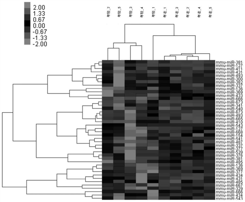 Pharmaceutical composition for preventing or treating muscular disease or cachexia comprising, as active ingredient, mirna located in dlk1 -dio3 cluster or variant thereof