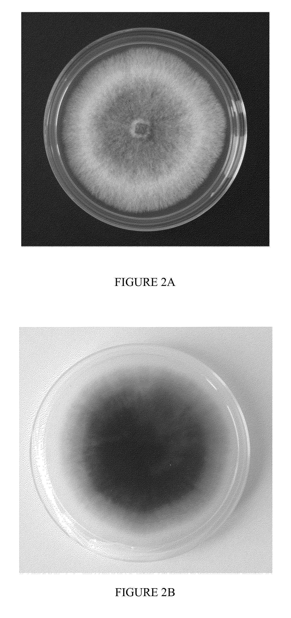 Microorganisms for Producing Volatile Organic Compounds