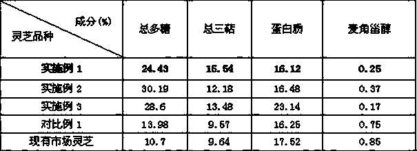 A kind of Guanxiang ganoderma cultivation method