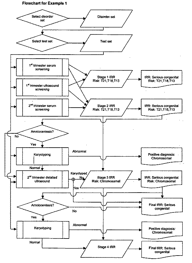 Testing Process