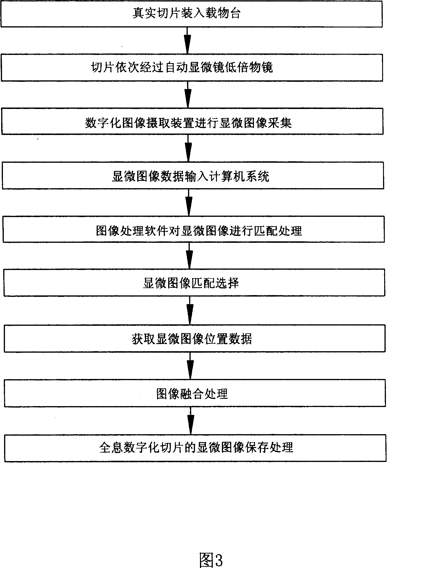 Method for preparing microscopic image of holographic digitalized sliced sheet