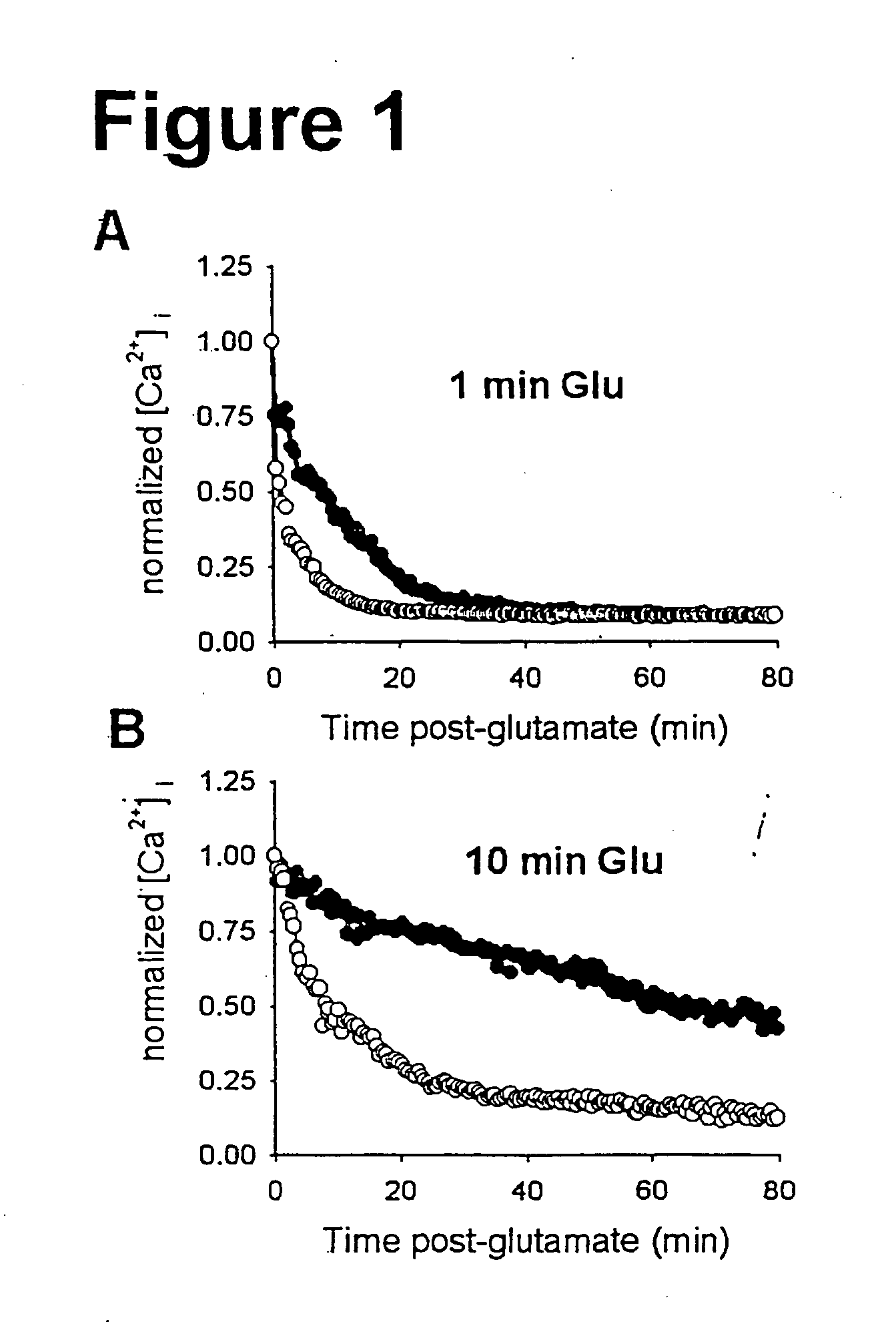 Inhibition of a novel calcium injury current that forms in nuerons during injury prevents neuronal cell death