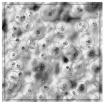 Tree species identification method based on full-waveform LiDAR canopy profile model