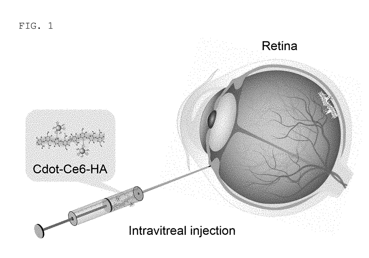 Treatment of retinitis pigmentosa using hyaluronic acid-carbon nanomaterial-photosensitizer complex