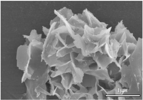 Tin niobate nanosheet, preparation method thereof and application of tin niobate in preparation of lithium battery