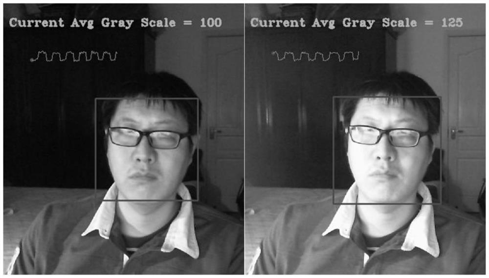 Biometric video playback attack detection method based on gray scale change