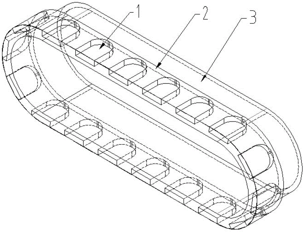 Dynamic corn seed image acquisition conveying belt