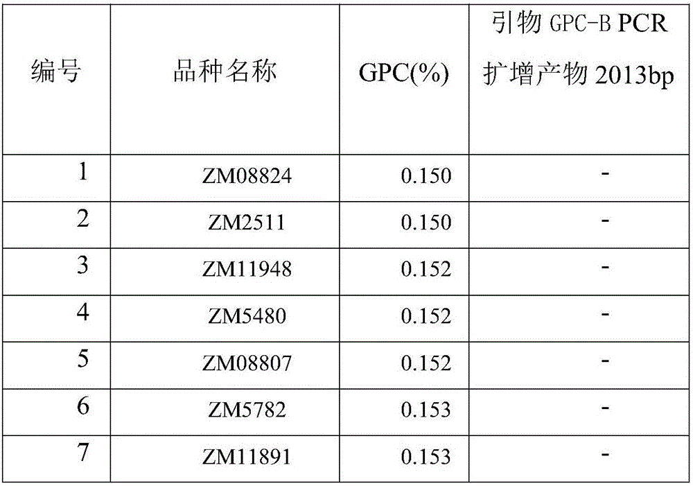 Primer, kit and method for detecting low grain protein content of wheat, and applications of method