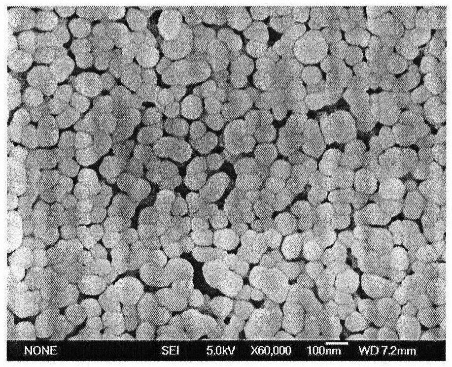 Preparation of an antigen-loaded polymer lipid nanosphere and its application as a vaccine adjuvant