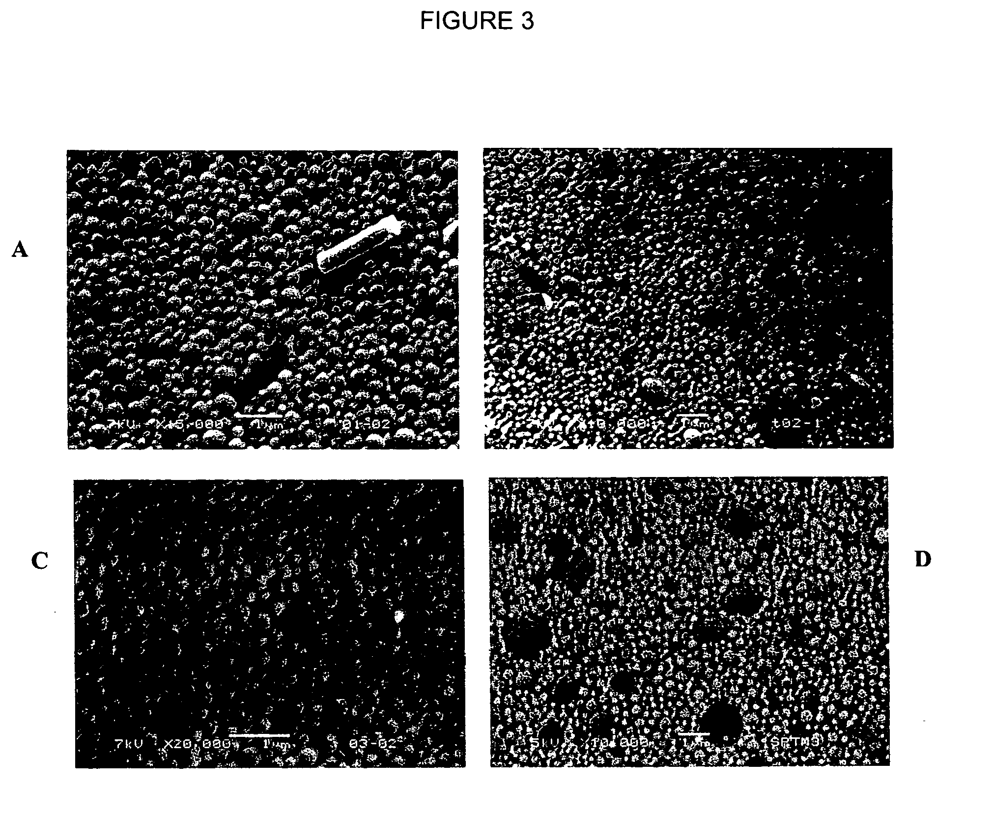 Nanoparticle coating for drug delivery