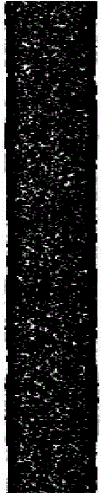 System for focusing or separating micro-nano particles and cells on basis of non-Newton effect, and method thereof