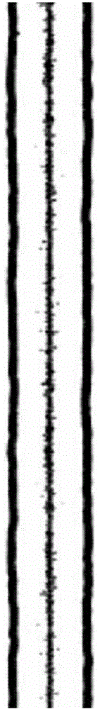 System for focusing or separating micro-nano particles and cells on basis of non-Newton effect, and method thereof