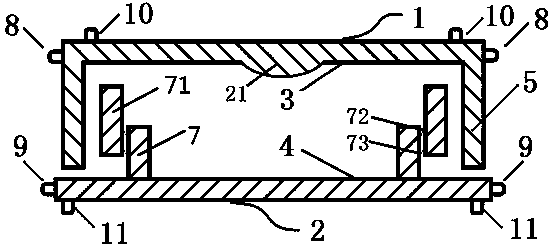 Pressing type anti-slip visible handheld fan-shaped counting surface sampling culture vessel