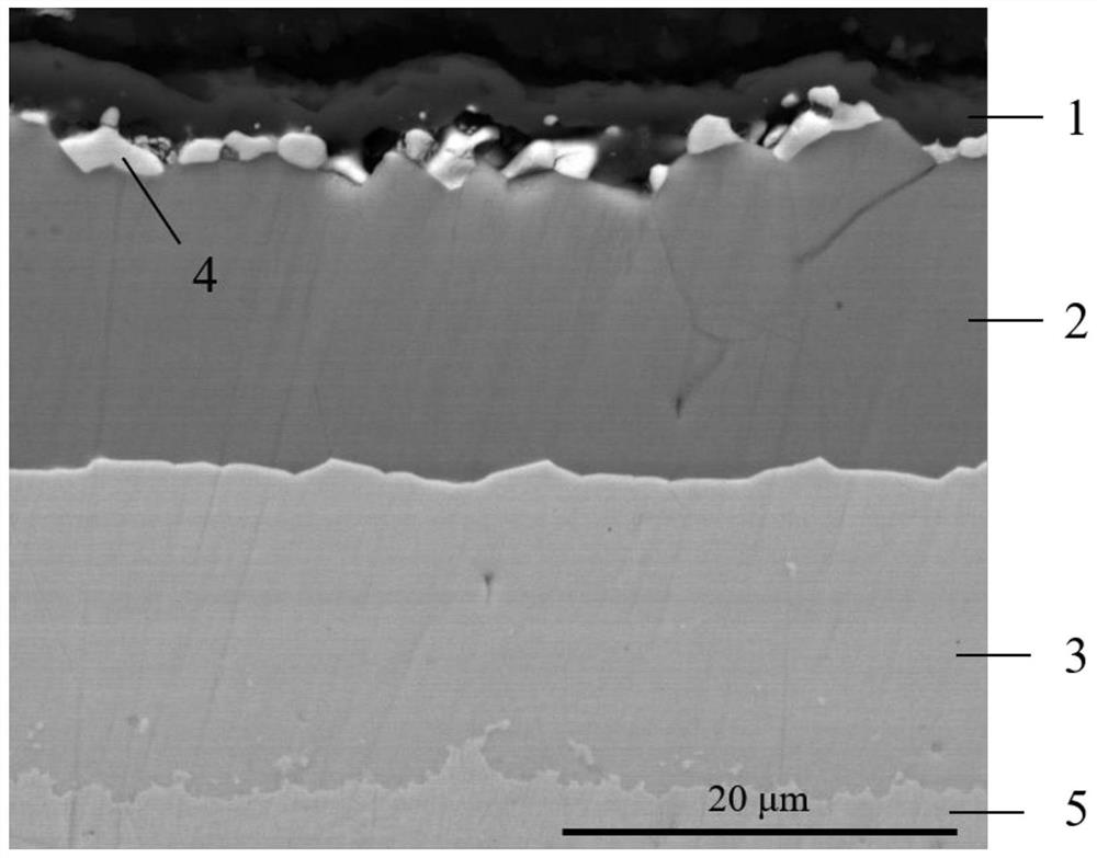 Ablation-resistant and corrosion-resistant protective coating on surface of molybdenum metal mold core and preparation method