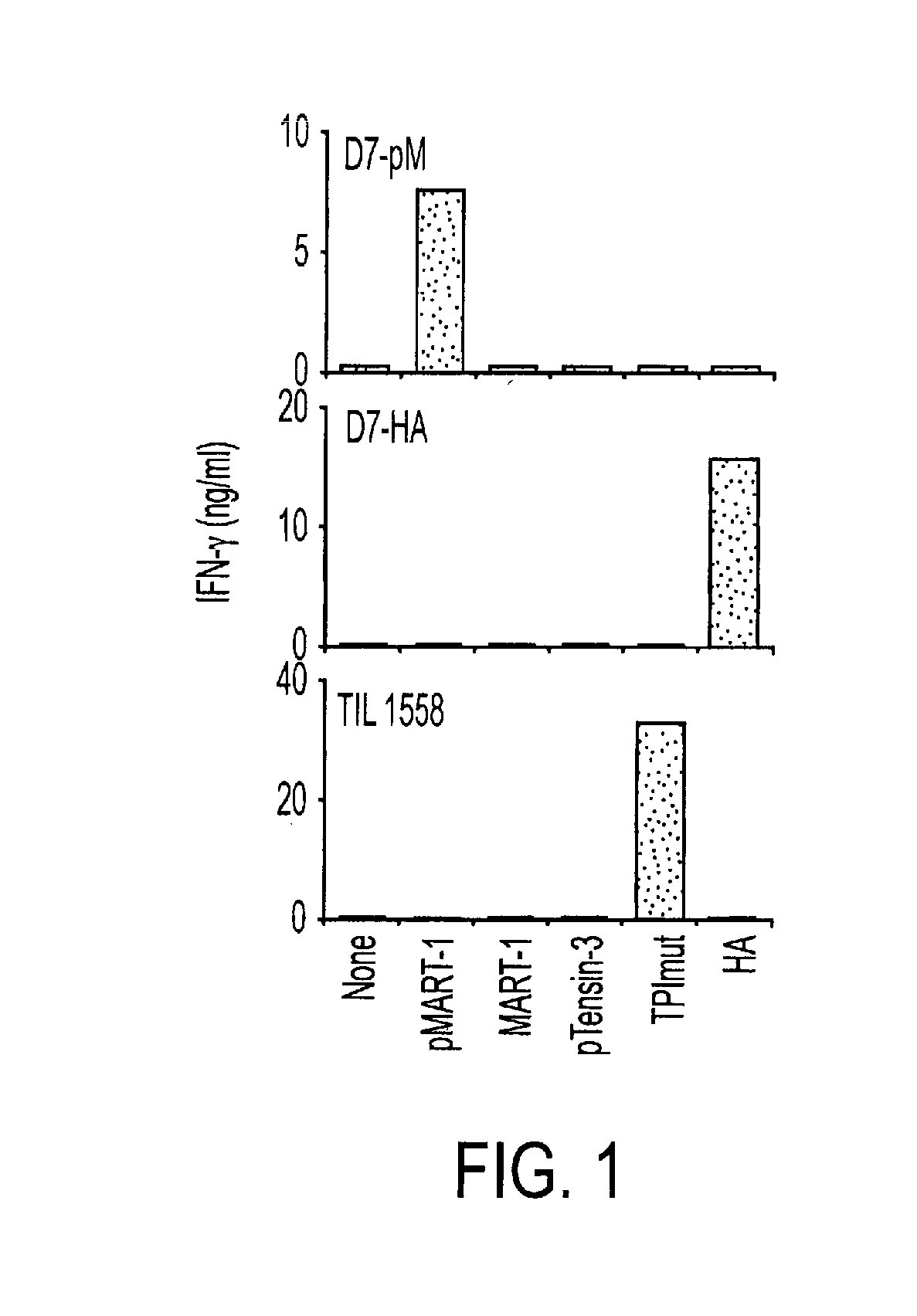 Phosphopeptides as melanoma vaccines