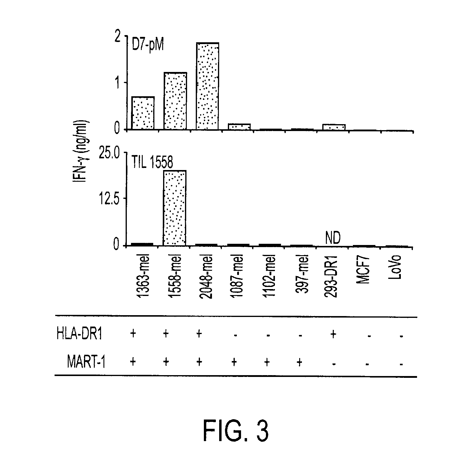 Phosphopeptides as melanoma vaccines