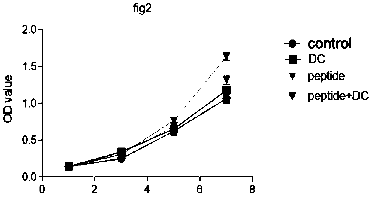 Epstein-Barr (EB) virus related antigen short peptide and application thereof