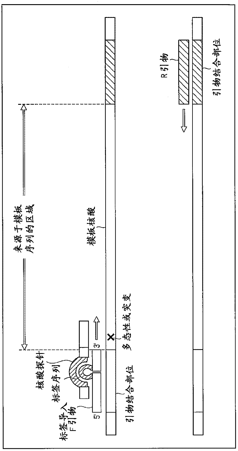 Sample analysis method and assay kit for use in the method