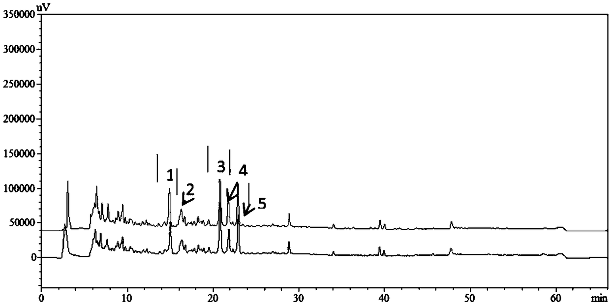 Method for greenly and efficiently extracting bergamot flavone and bergamot flavone