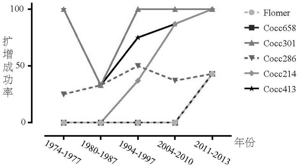 A set of mini-barcoding primers for obtaining DNA barcodes of beetle specimens in collections and its application