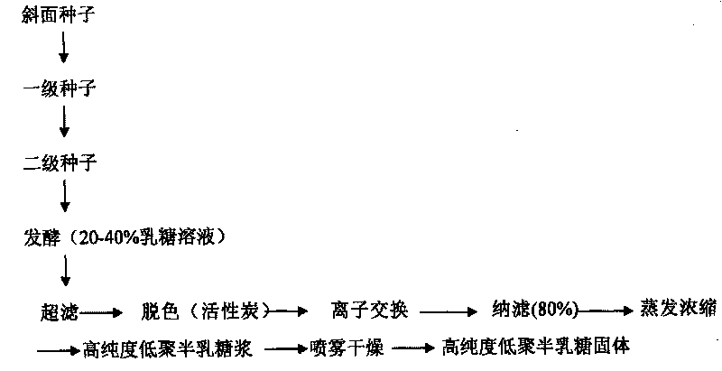 Aspergillus oryzae and method for preparing high purity galacto-oligosaccharides by using same