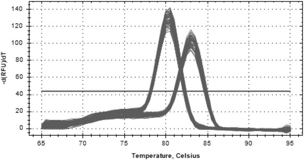 Method using cattle KCNJ12 gene CNV markers to assist growth trait detection and kit special for method