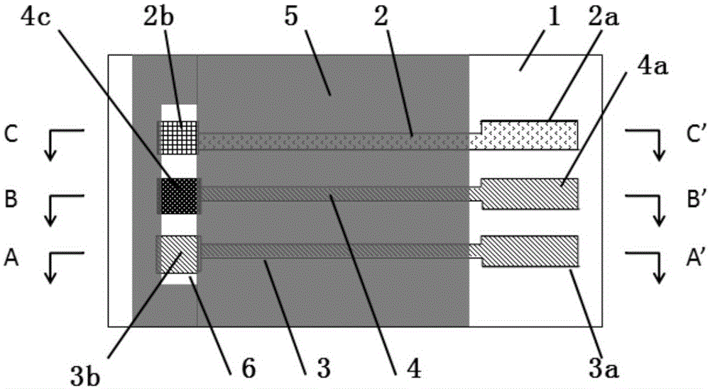 Graphene-modified lactic acid biosensor and preparation method thereof