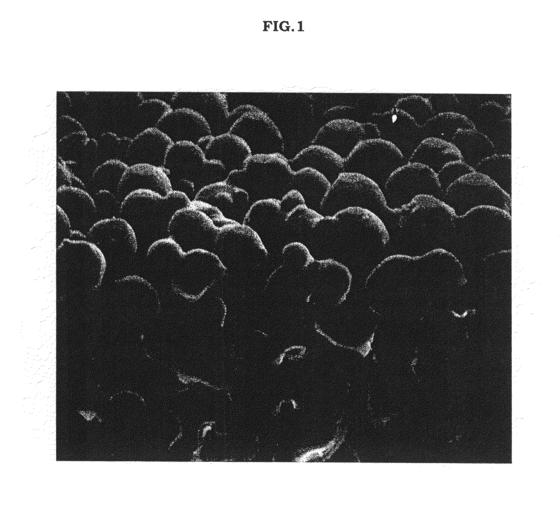 Method of producing porous sheet and porous sheet obtained by the production method