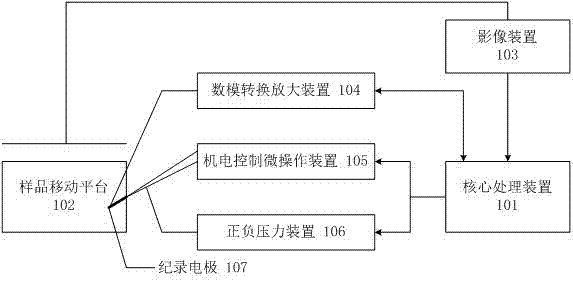 System and method for full-automatic patch clamp electrophysiological recording