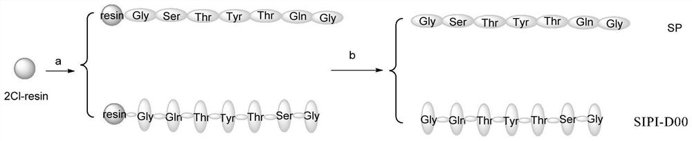 Biological peptide for treating asthma and application of biological peptide