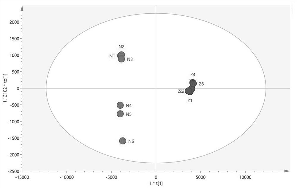 A kind of renal sperm icp-ms identification method and its application