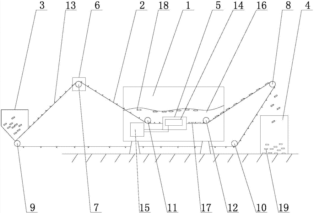 Ultrasonic garlic clove peeling device and method