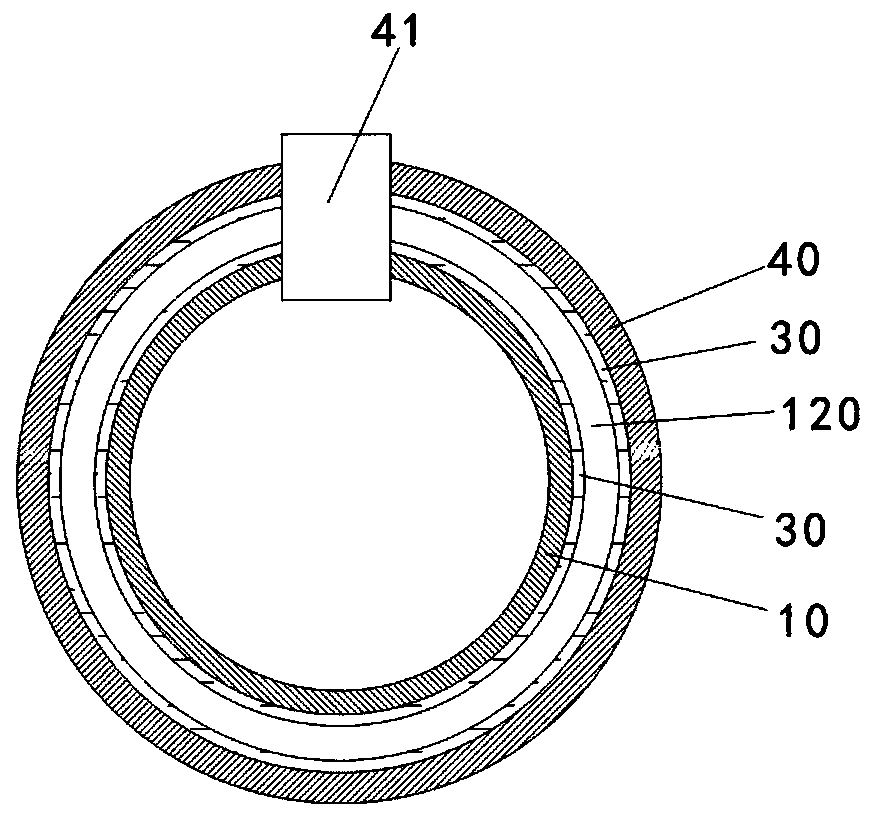 A kind of shaping method and shaping system of instant stewed bird's nest