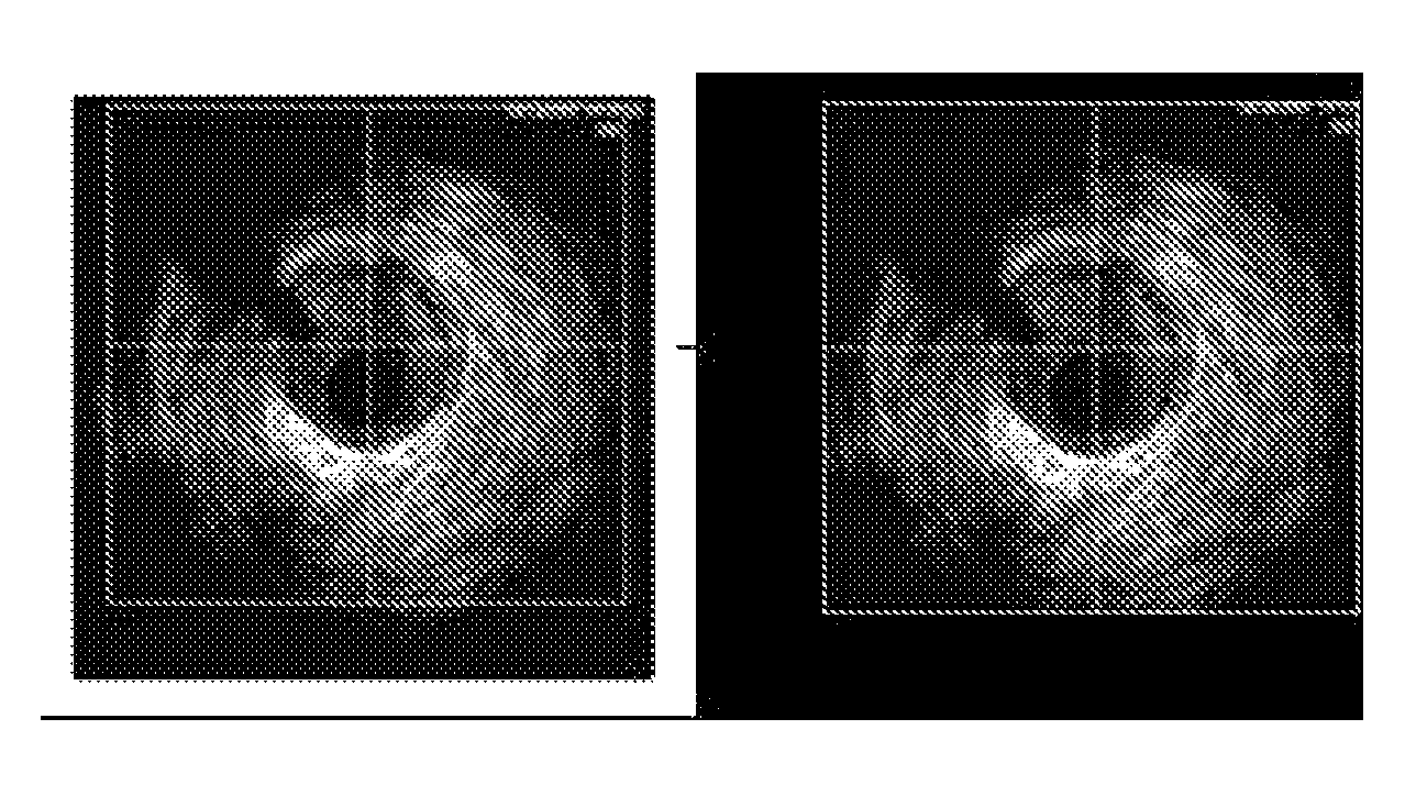 Method and system for stabilizing a series of intravascular ultrasound images and extracting vessel lumen from the images