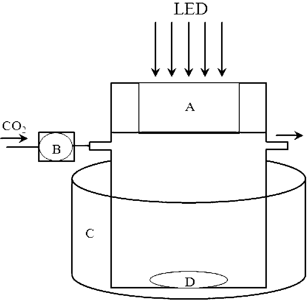 Fluoropolymer microsphere