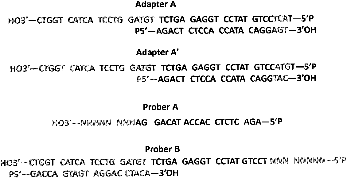 Whole genome DNA sequence splicing sequencing method