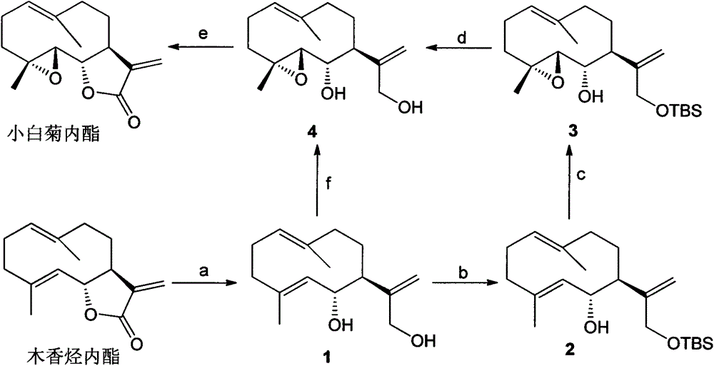 Method for preparing parthenolide by using costunolide as raw material